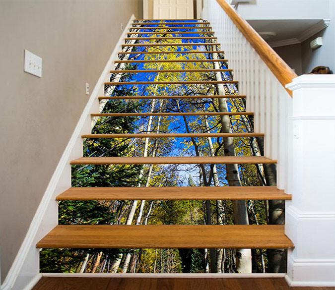 3D Forest Blue Sky 1585 Stair Risers Wallpaper AJ Wallpaper 
