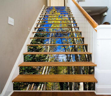 3D Forest Blue Sky 1585 Stair Risers Wallpaper AJ Wallpaper 