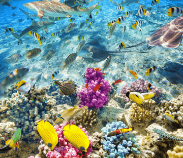 3D Shiny Seabed Floor Mural Wallpaper AJ Wallpaper 2 
