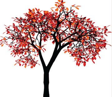 Red Leaves Tree Wallpaper AJ Wallpaper 