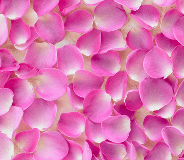 3D Bright Petals Floor Mural Wallpaper AJ Wallpaper 2 