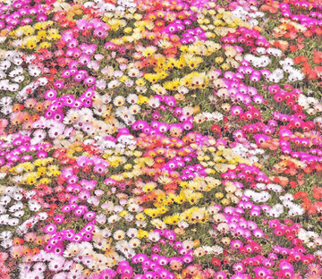 3D Colorful Flowers Floor Mural Wallpaper AJ Wallpaper 2 