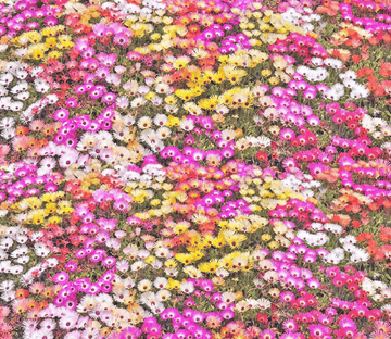 3D Colorful Flowers Floor Mural Wallpaper AJ Wallpaper 2 