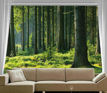 Green Forest 4 Wallpaper AJ Wallpaper 