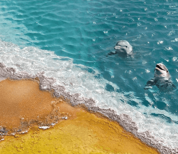 3D Beach Dolphins Floor Mural Wallpaper AJ Wallpaper 2 