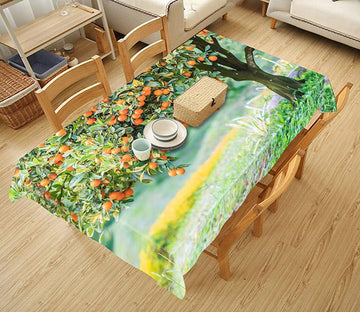 3D Kumquat Tree 768 Tablecloths Wallpaper AJ Wallpaper 