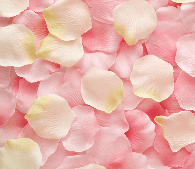 3D Fresh Petals Floor Mural Wallpaper AJ Wallpaper 2 