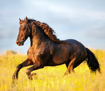 Running Horse Wallpaper AJ Wallpaper 