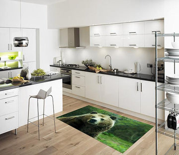 3D Innocent Bear 616 Kitchen Mat Floor Mural Wallpaper AJ Wallpaper 