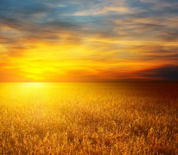 Beautiful Sunset 1 Wallpaper AJ Wallpaper 