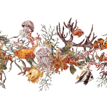 Sea Plants Fishes Wallpaper AJ Wallpaper 