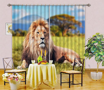 3D Grassland Lion 31 Curtains Drapes Wallpaper AJ Wallpaper 