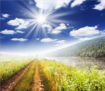 Wild Mud Road Wallpaper AJ Wallpaper 