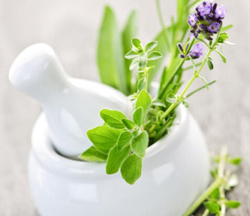 Arranging Flowers 1 Wallpaper AJ Wallpaper 