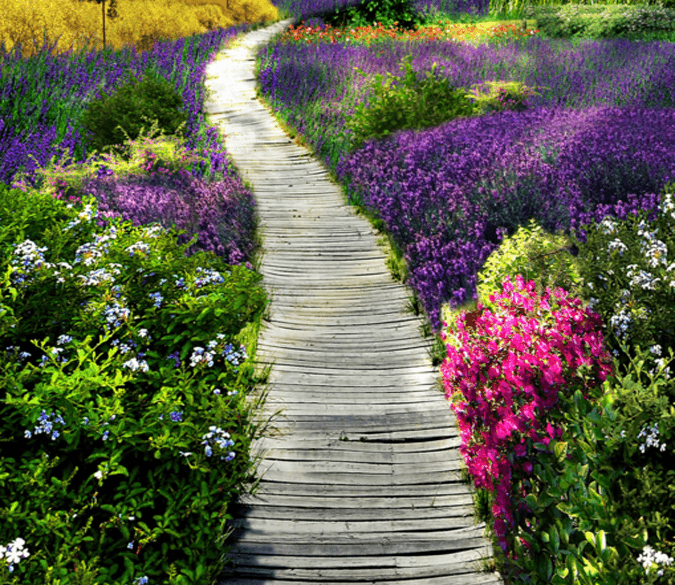 3D Flowers Wood Path Floor Mural Wallpaper AJ Wallpaper 2 