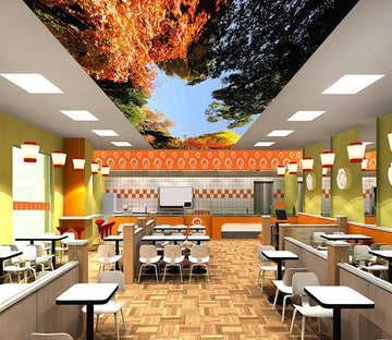 Colorful Trees Blue Sky Wallpaper AJ Wallpaper 