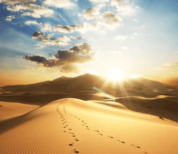 Vast Desert Wallpaper AJ Wallpaper 