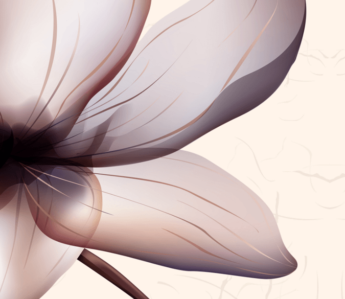 Fashion Blossom Wallpaper AJ Wallpaper 