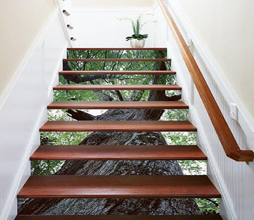 3D Gaint Tall Tree 1258 Stair Risers Wallpaper AJ Wallpaper 