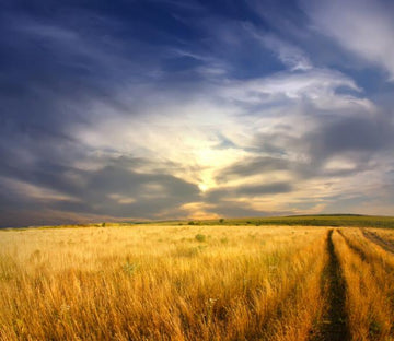 Boundless Plain Wallpaper AJ Wallpaper 