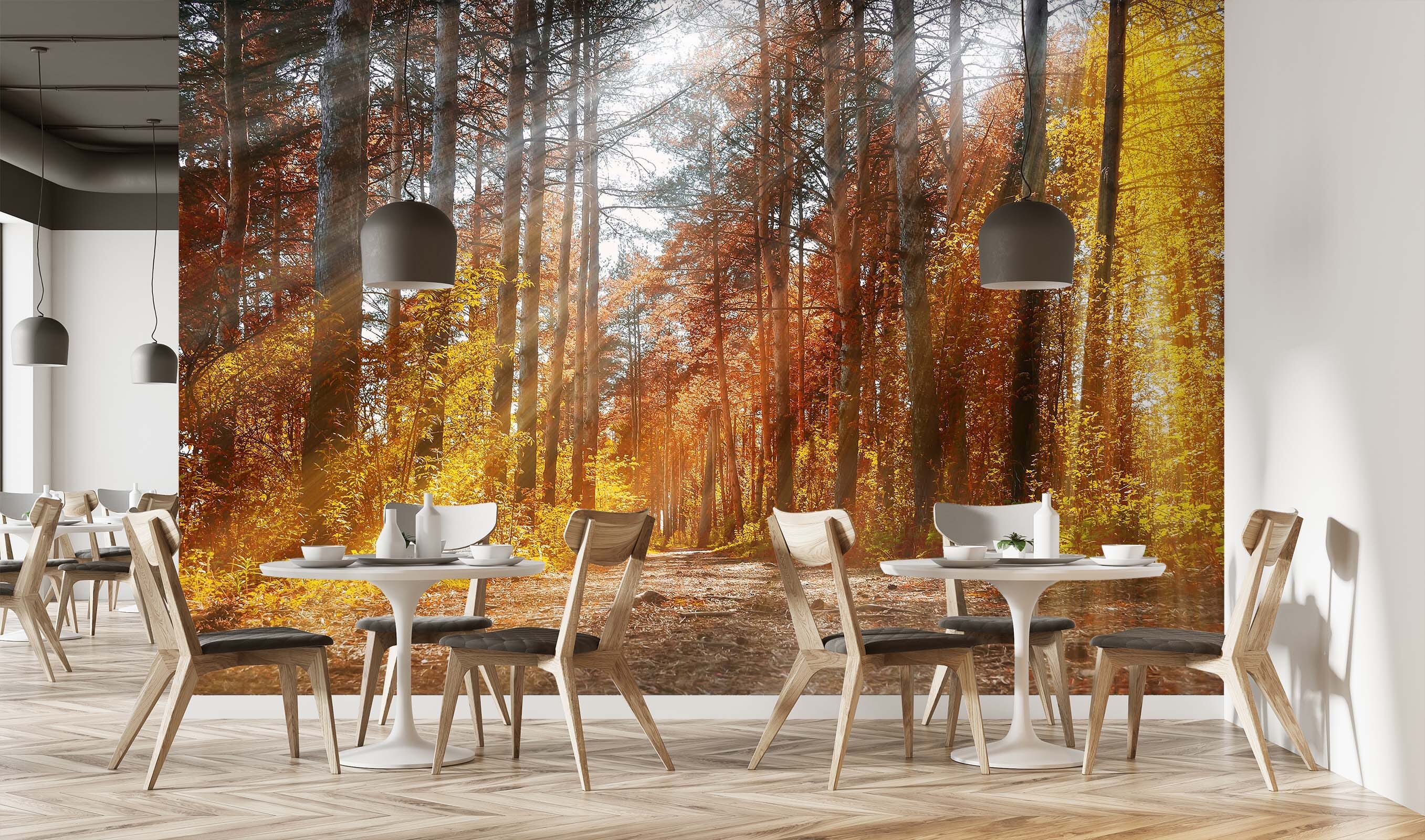 3D Autumn Forest 243 Wall Murals Wallpaper AJ Wallpaper 2 