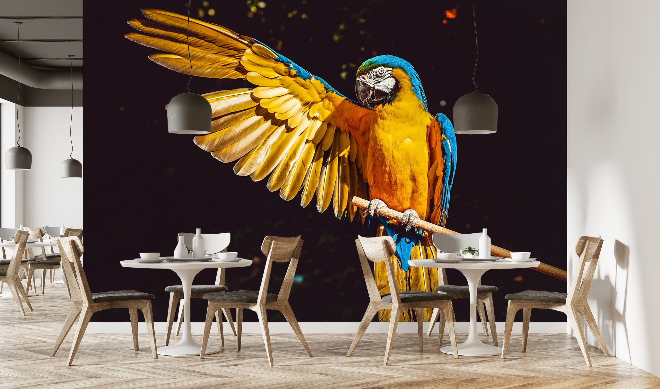 3D Color Parrot 137 Wall Murals Wallpaper AJ Wallpaper 2 