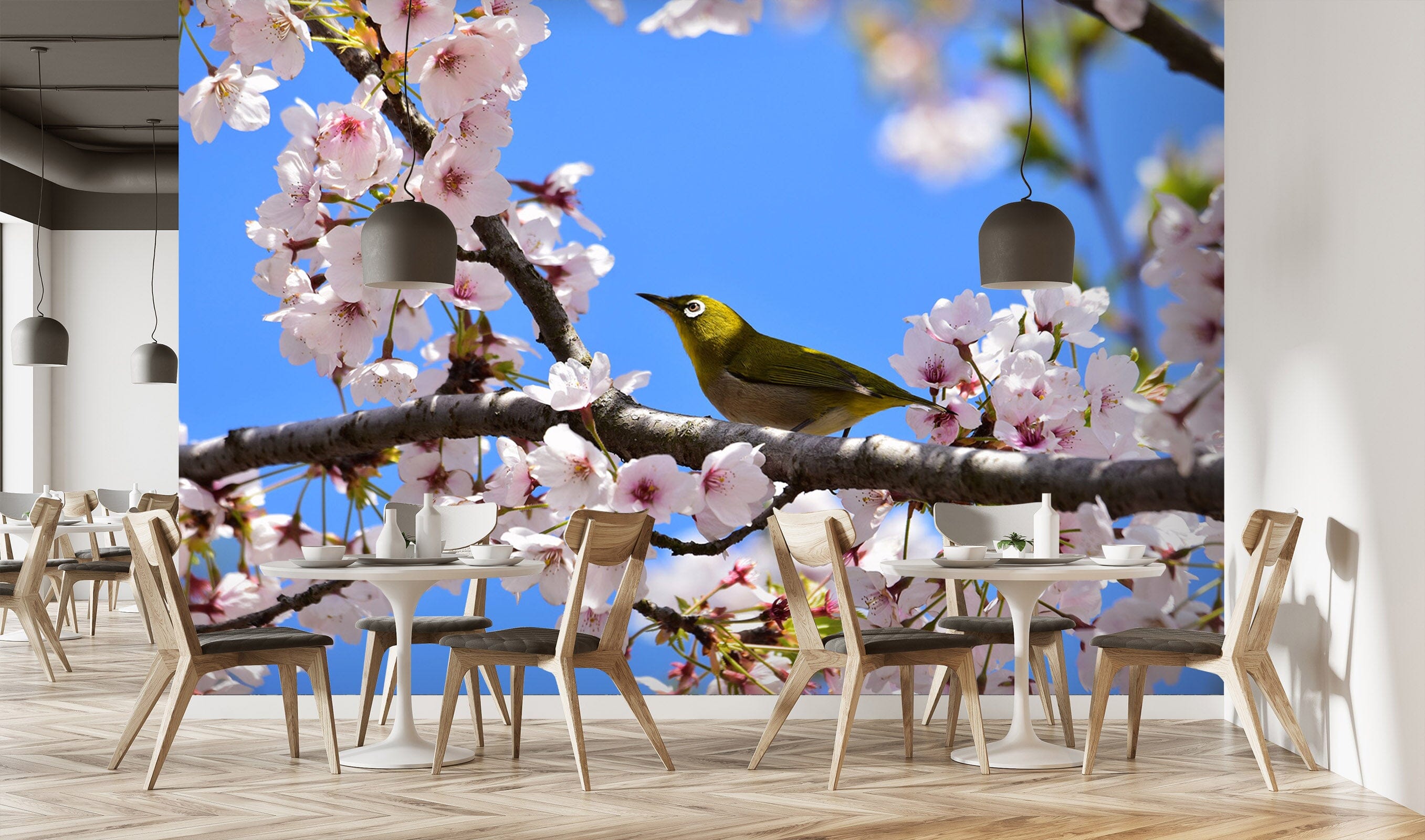 3D Peach Bird 135 Wall Murals Wallpaper AJ Wallpaper 2 