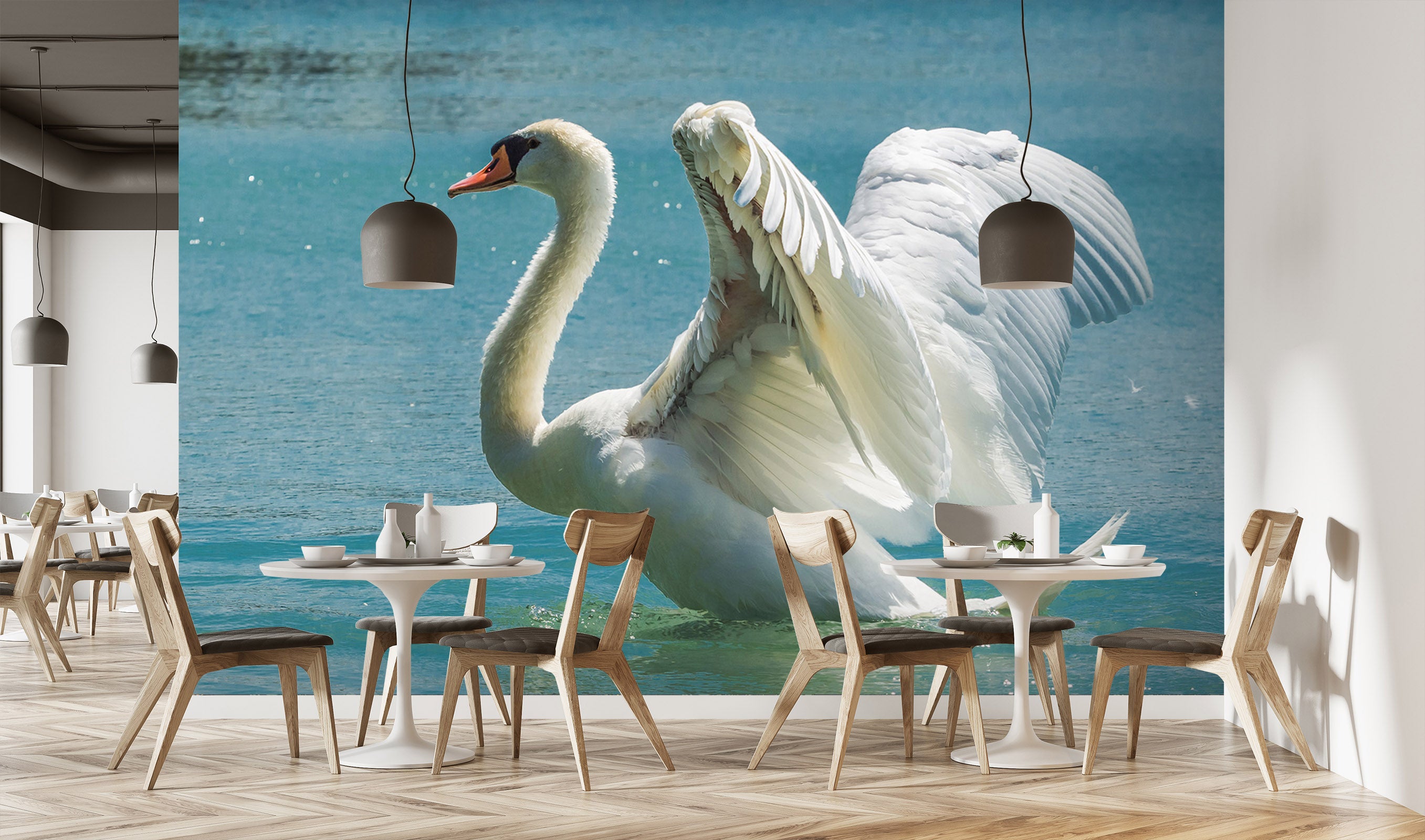 3D Swan Wings 266 Wall Murals