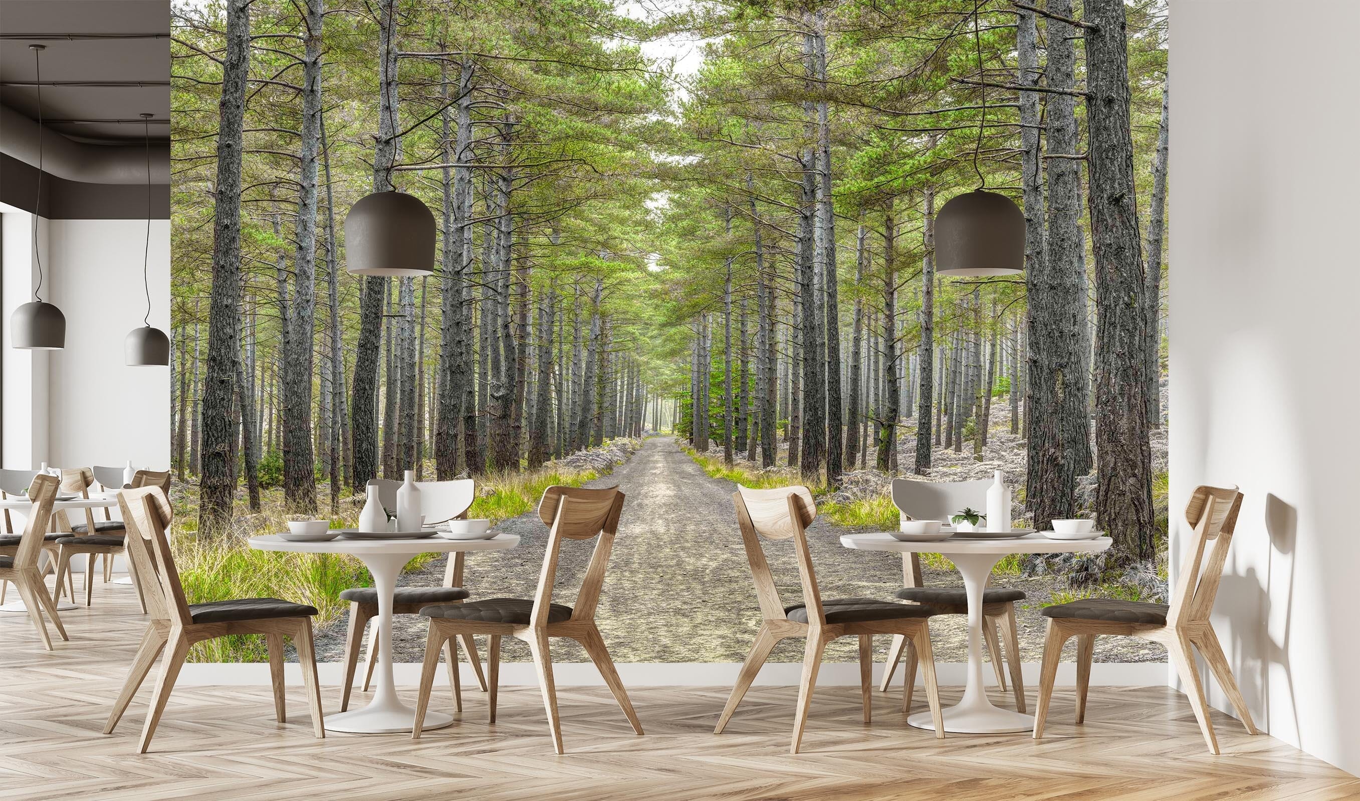 3D Autumn Woods 1432 Assaf Frank Wall Mural Wall Murals Wallpaper AJ Wallpaper 2 