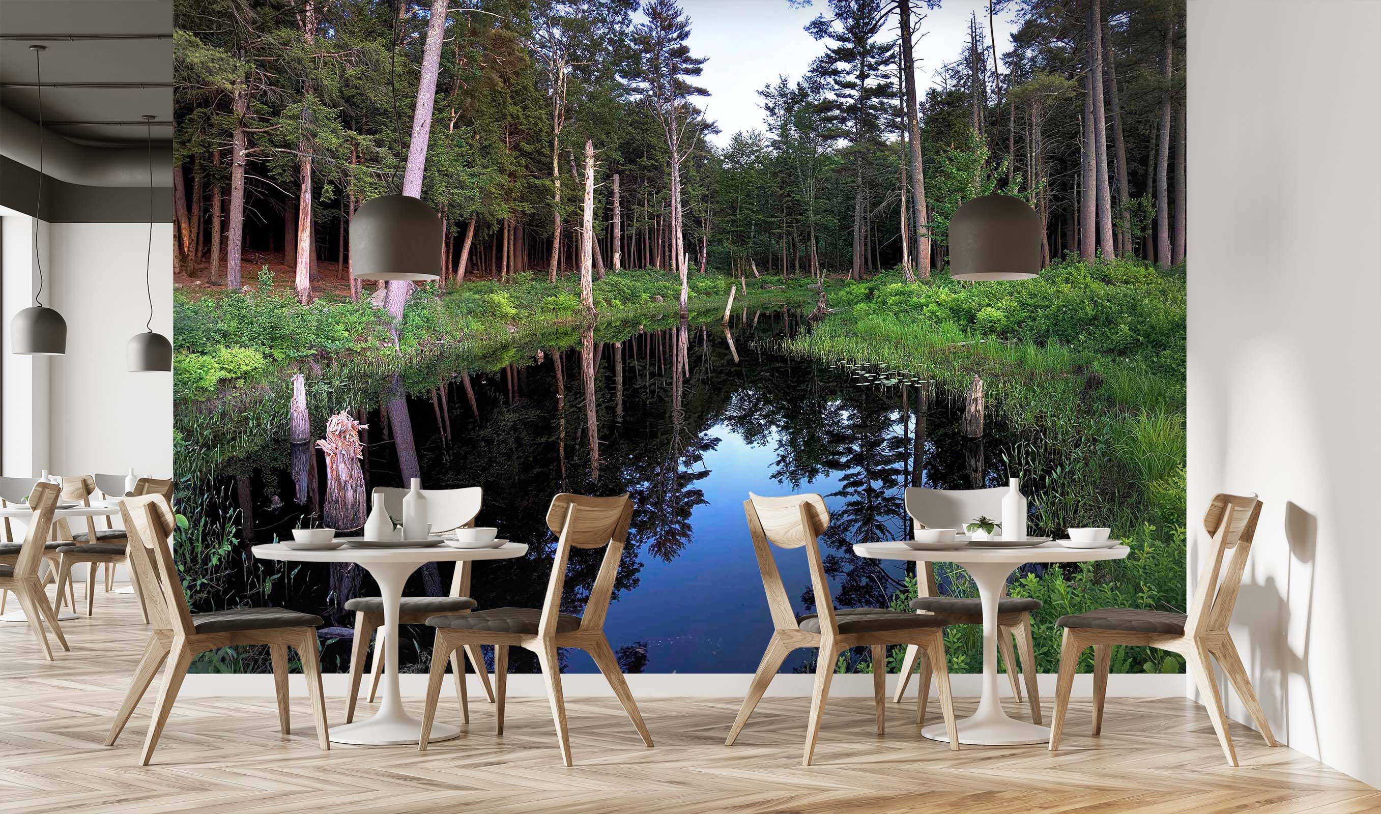 3D Forest River 102 Jerry LoFaro Wall Mural Wall Murals Wallpaper AJ Wallpaper 2 