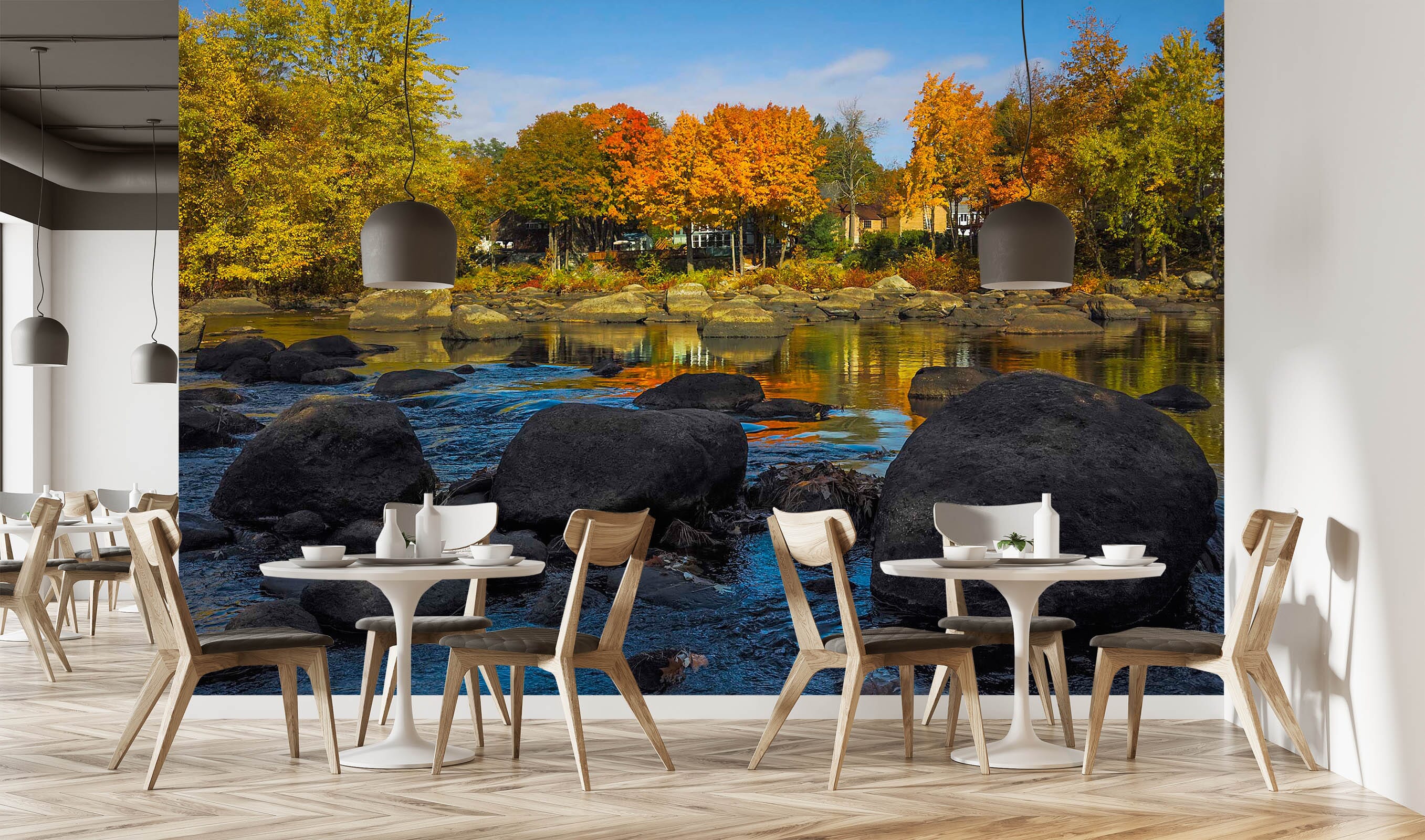 3D Autumn Forest 114 Jerry LoFaro Wall Mural Wall Murals Wallpaper AJ Wallpaper 2 