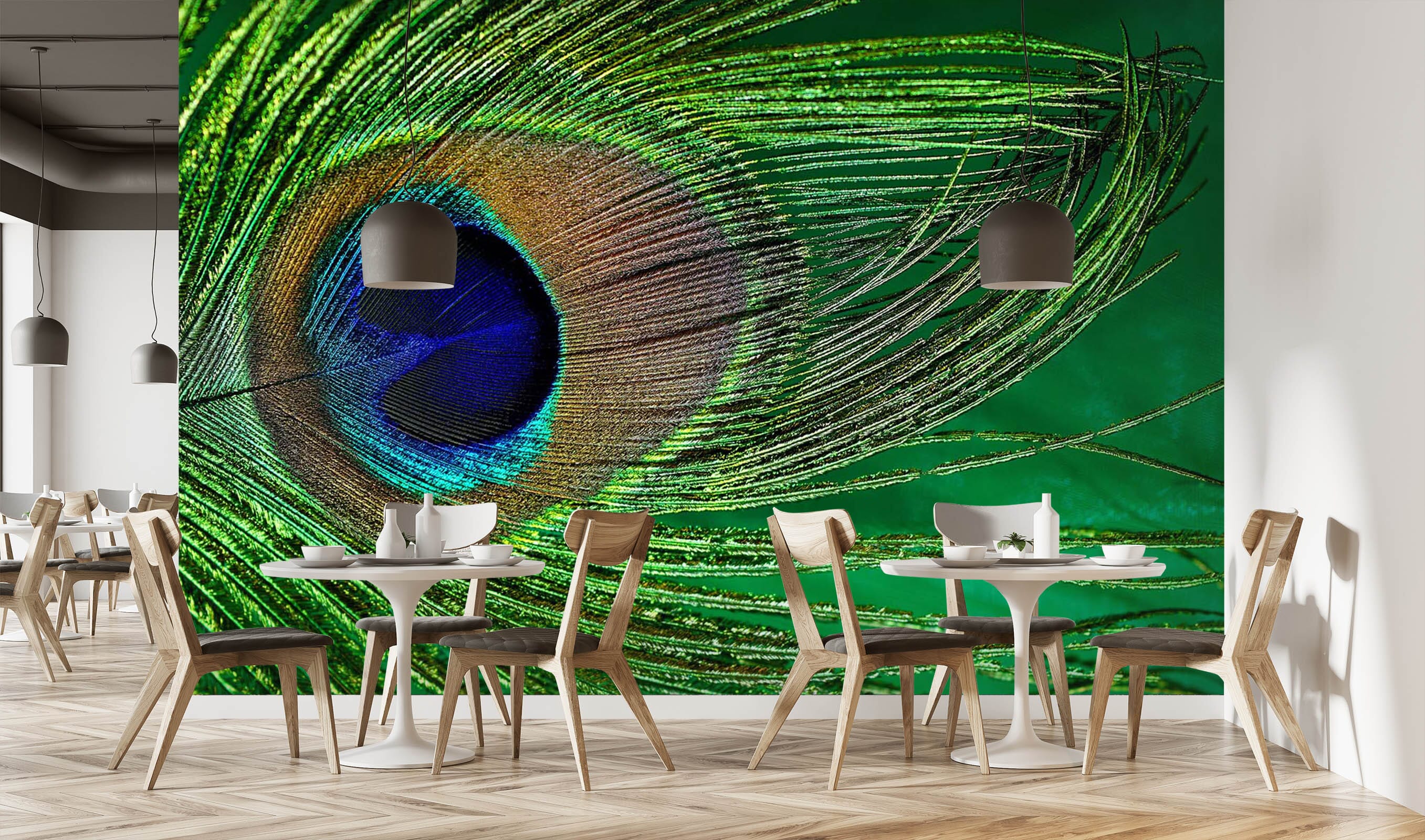 3D Peacock Feather 212 Wall Murals Wallpaper AJ Wallpaper 2 