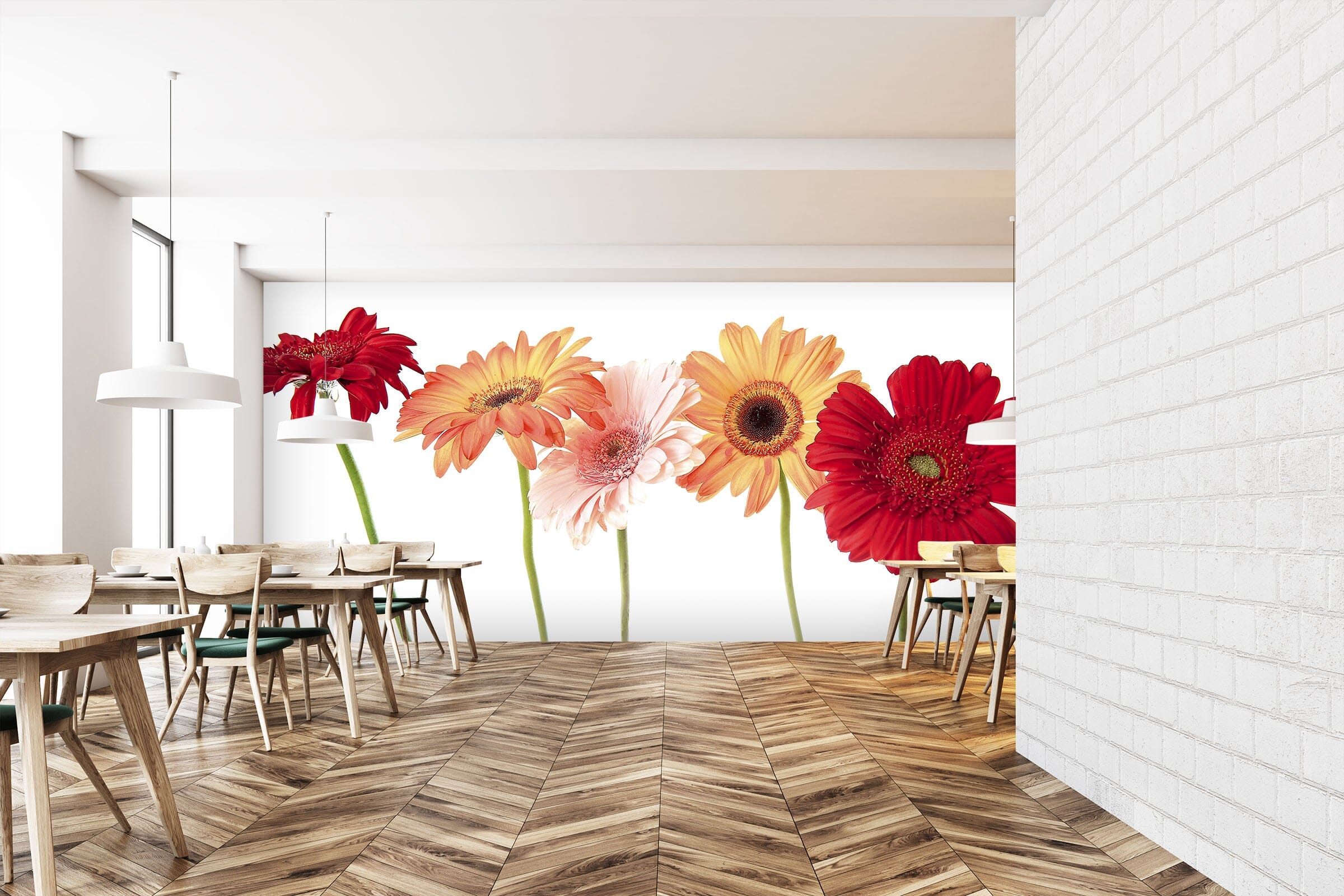 3D Gerbera Daisy 100 Kathy Barefield Wall Mural Wall Murals Wallpaper AJ Wallpaper 2 