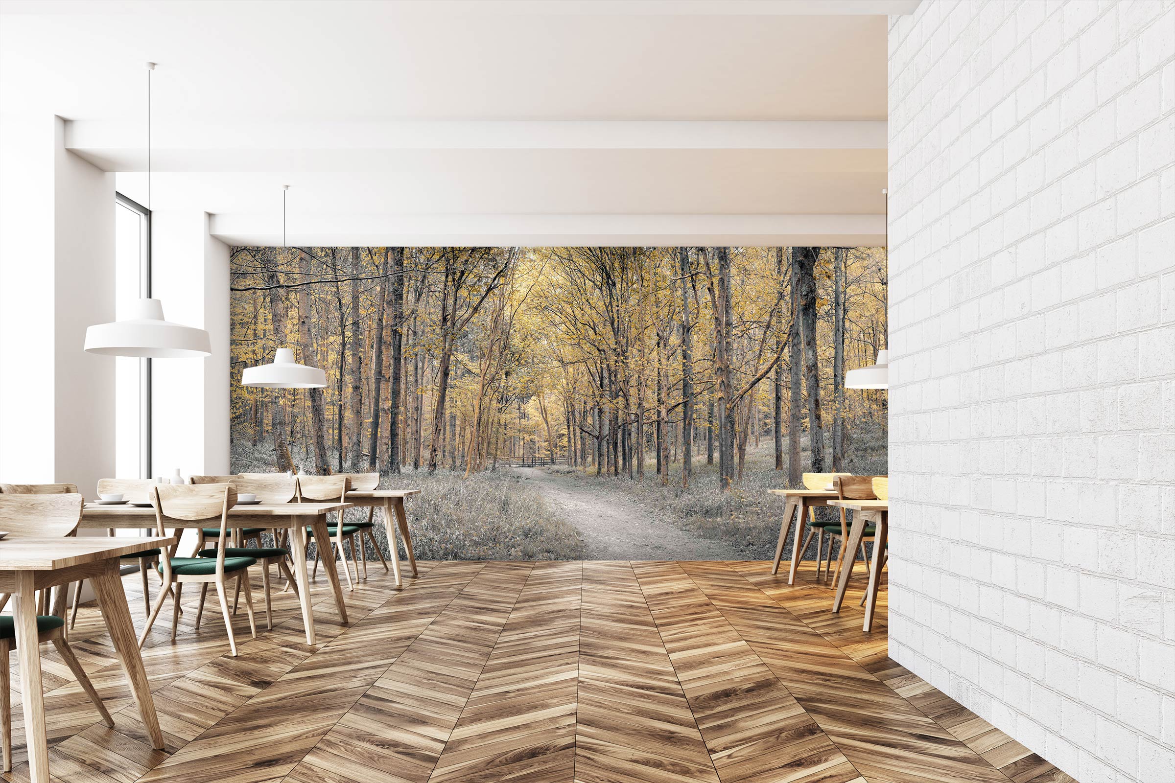 3D Forest Path 6297 Assaf Frank Wall Mural Wall Murals