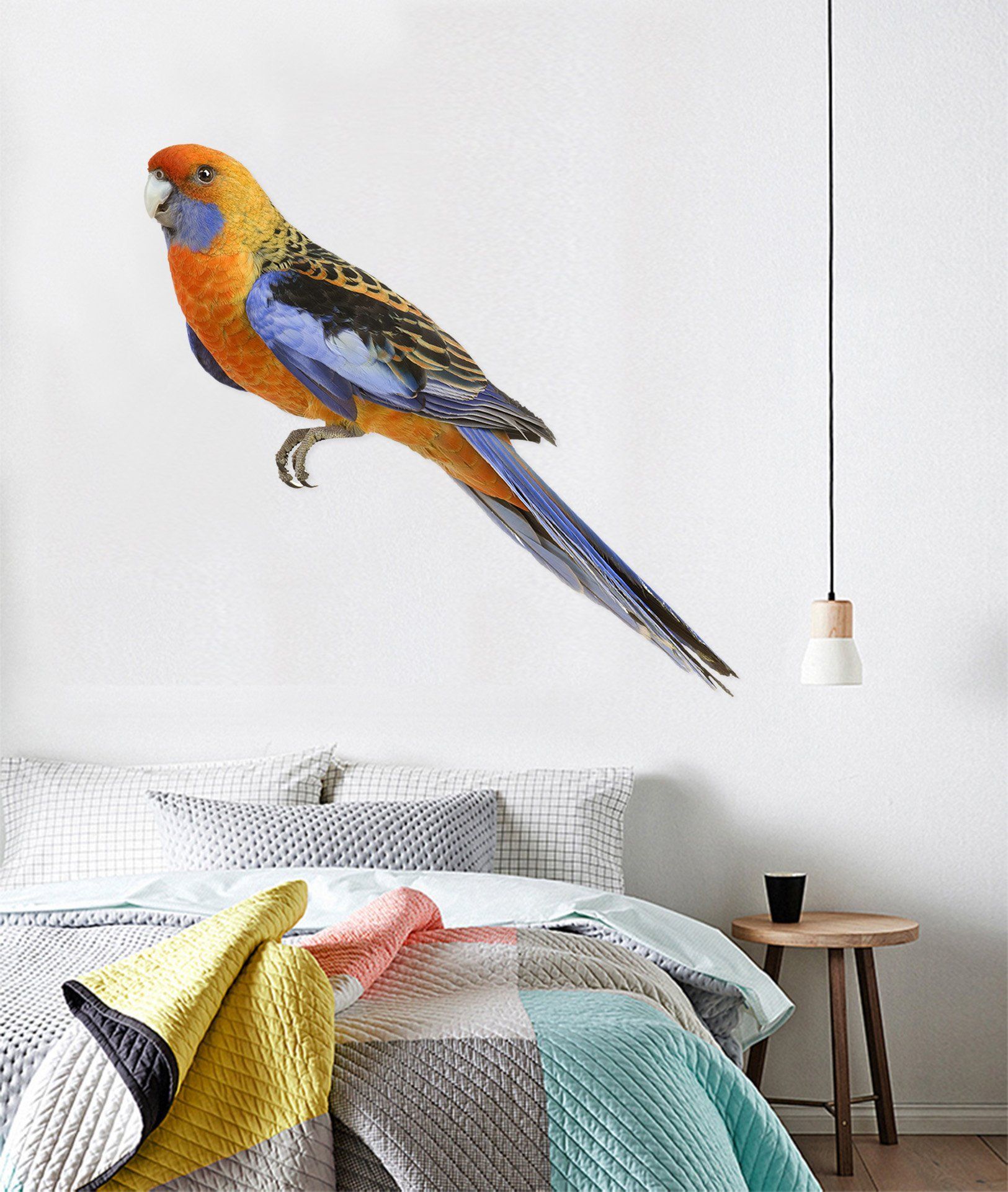 3D Parrot Eye 179 Animals Wall Stickers Wallpaper AJ Wallpaper 