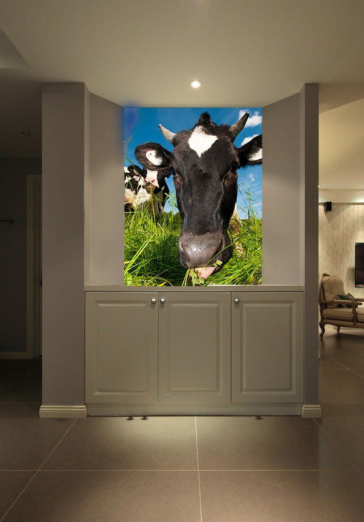 Eating Cows Wallpaper AJ Wallpaper 
