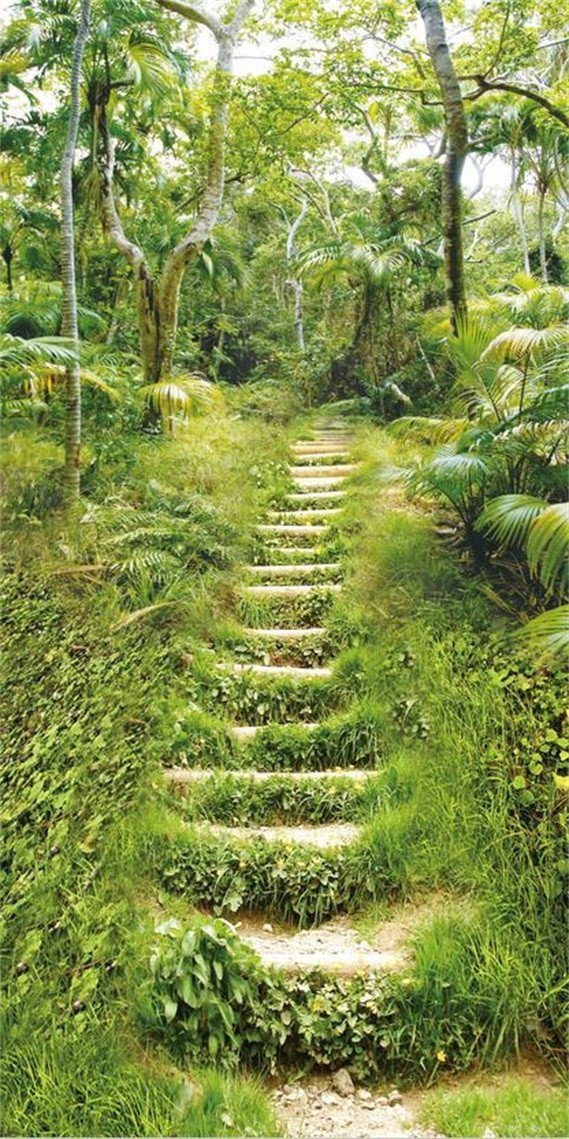 3D wild flowers stone ladder door mural Wallpaper AJ Wallpaper 