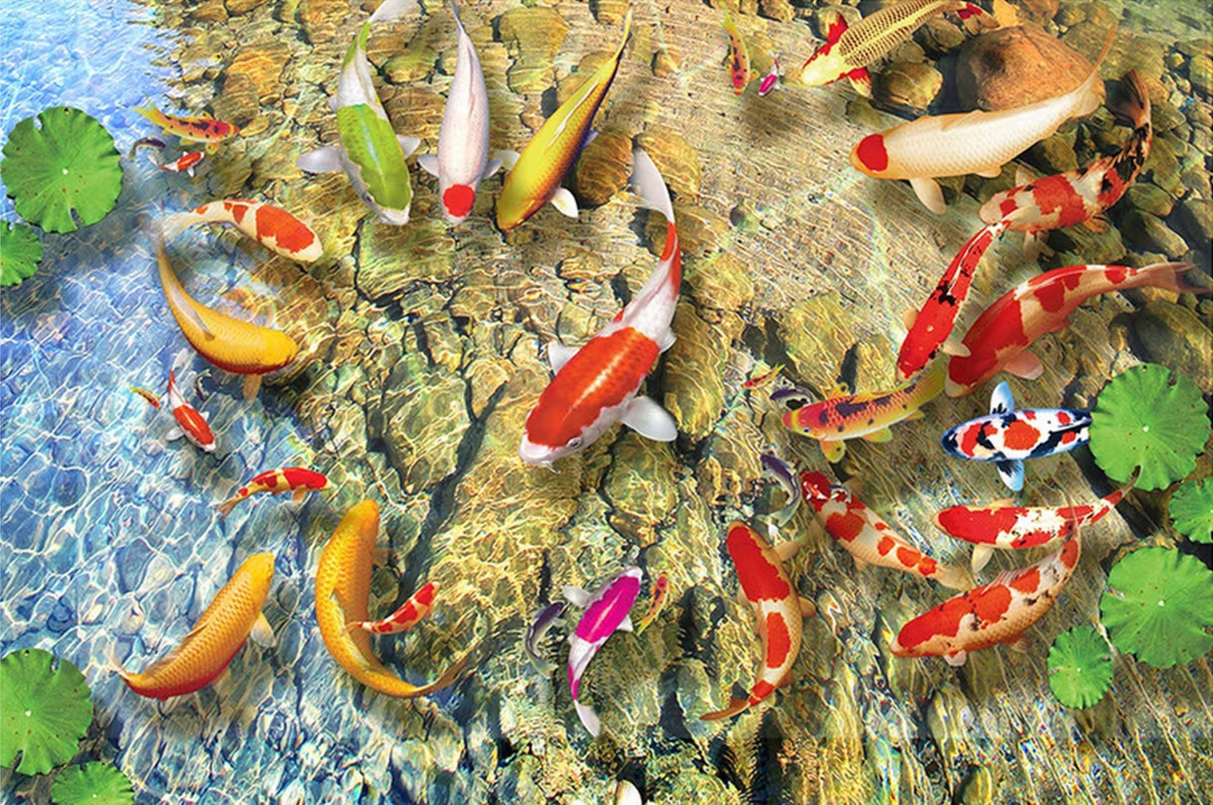 3D Colorful Fishes 173 Kitchen Mat Floor Mural Wallpaper AJ Wallpaper 