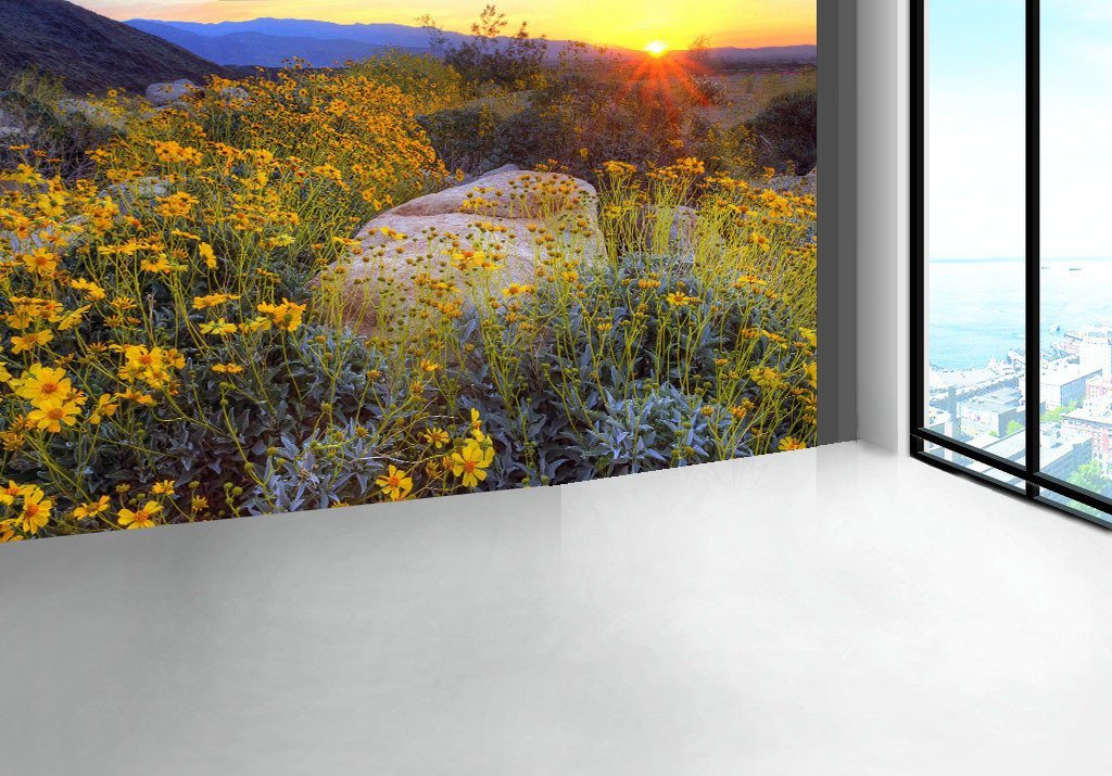 Stones And Flowers Wallpaper AJ Wallpaper 