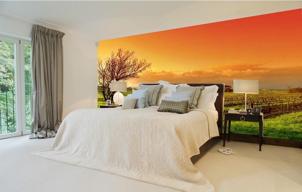 Vineyard Scenery Wallpaper AJ Wallpaper 