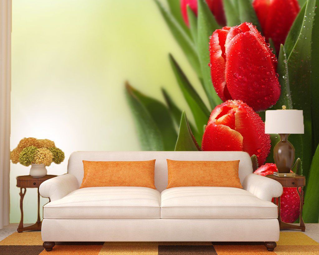 Red Tulips Buds Wallpaper AJ Wallpaper 