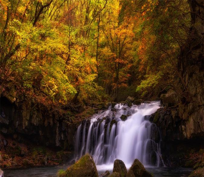 3D Forest Stream 945 Wallpaper AJ Wallpaper 