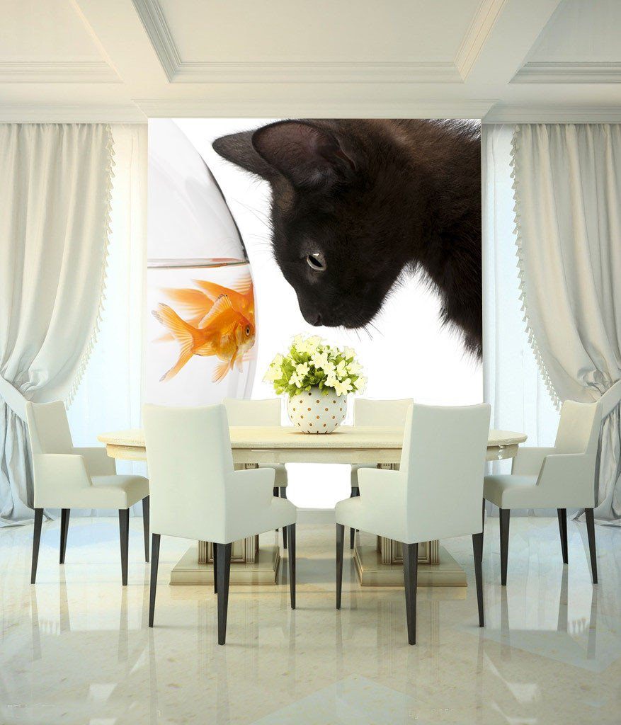 Cat And Fishes Wallpaper AJ Wallpaper 