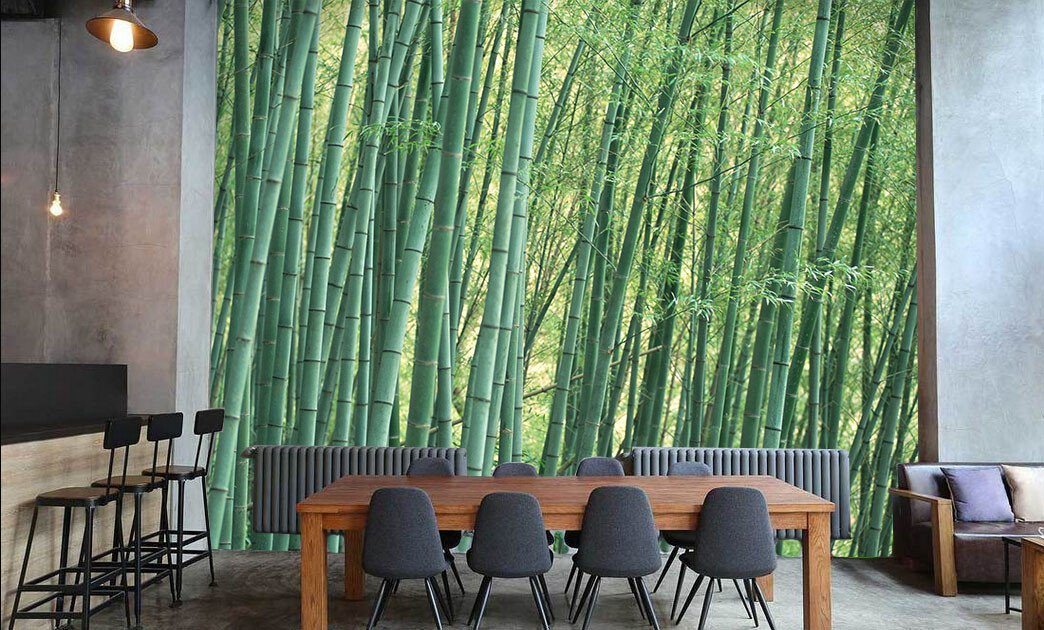 Bamboo Forest 9 Wallpaper AJ Wallpaper 