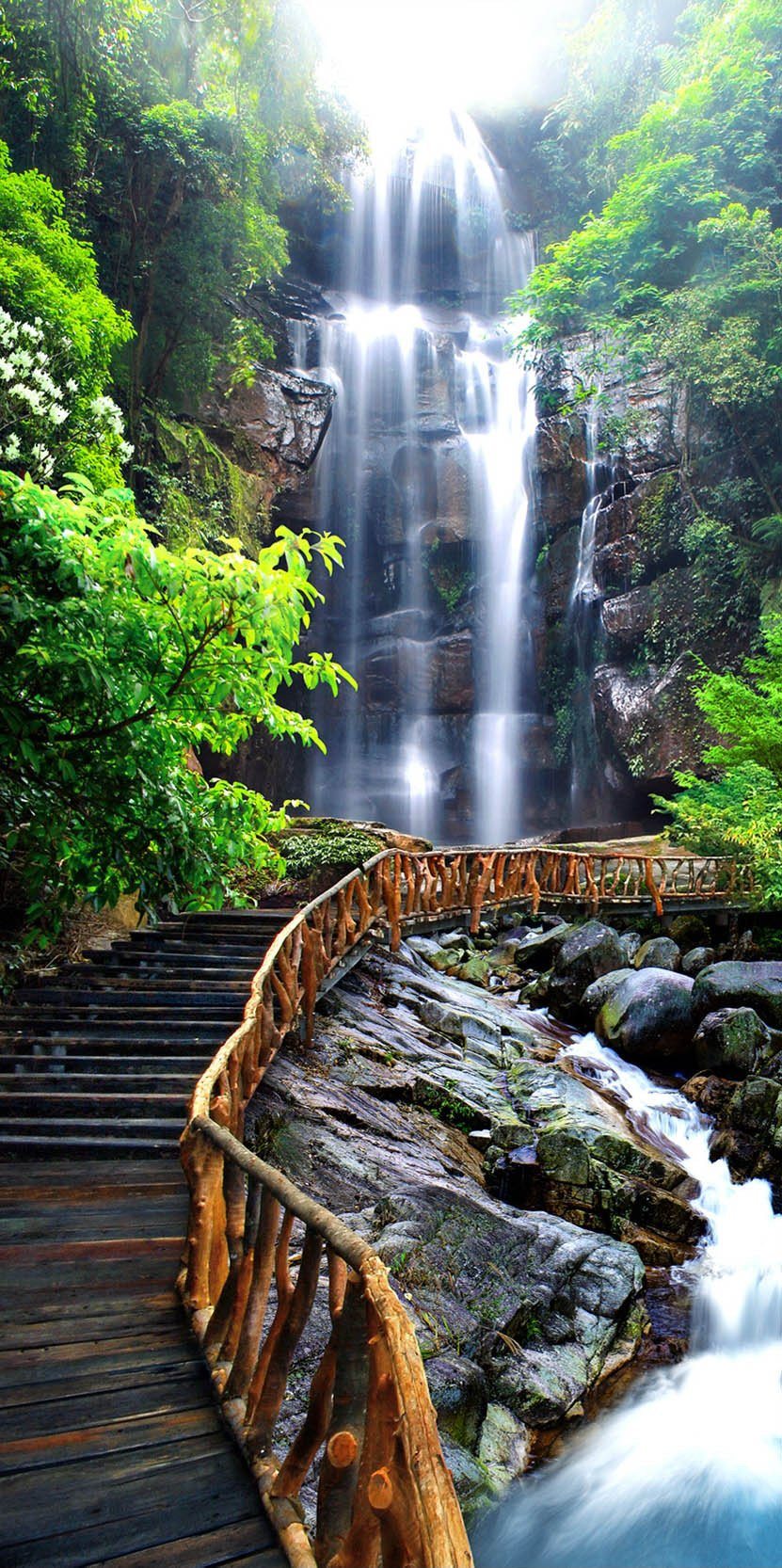 3D plank bridge under the waterfall door mural Wallpaper AJ Wallpaper 