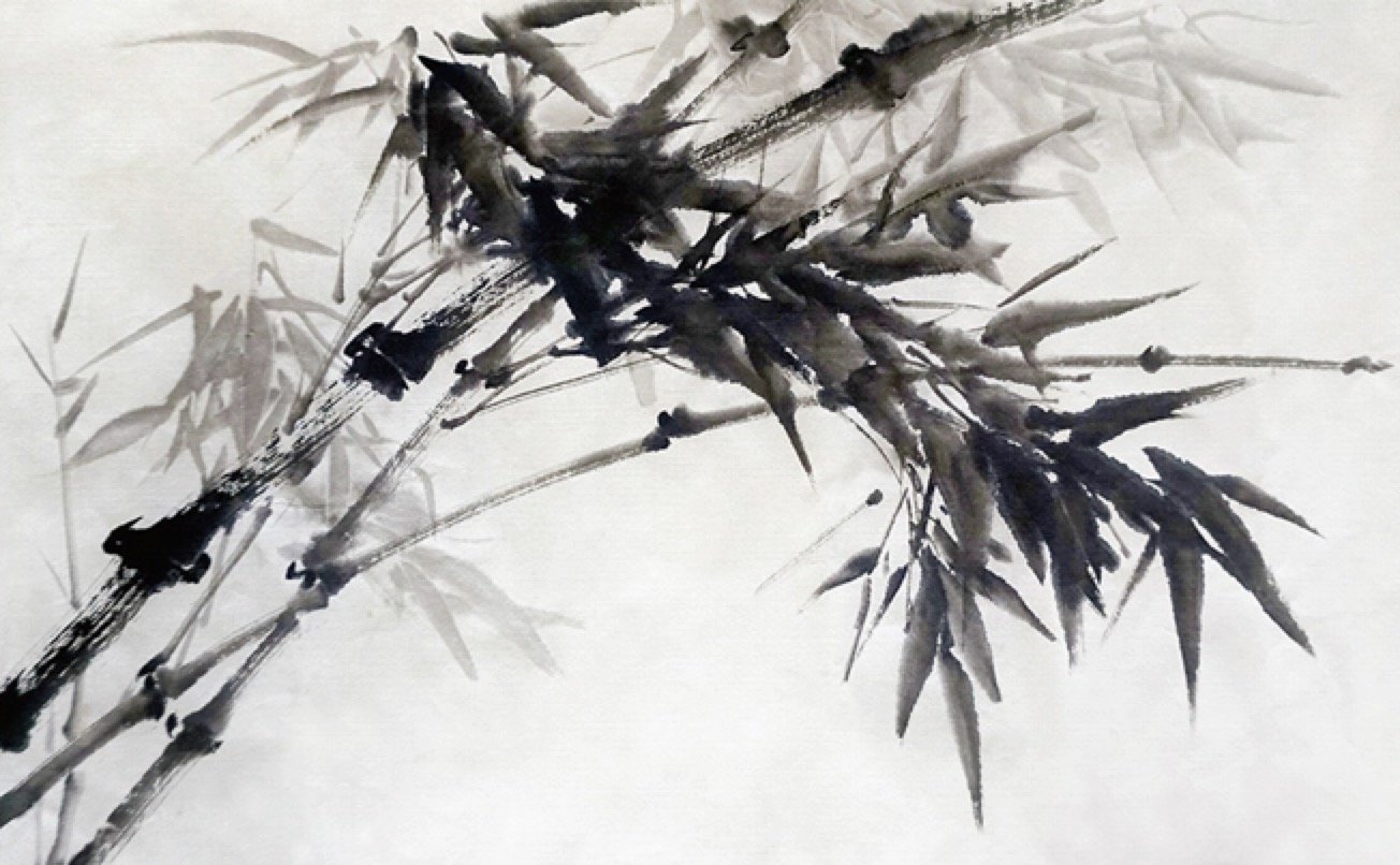 bamboo forest black white 101 Wallpaper AJ Wallpaper 