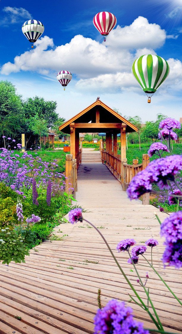 3D hot air balloon plank bridge door mural Wallpaper AJ Wallpaper 