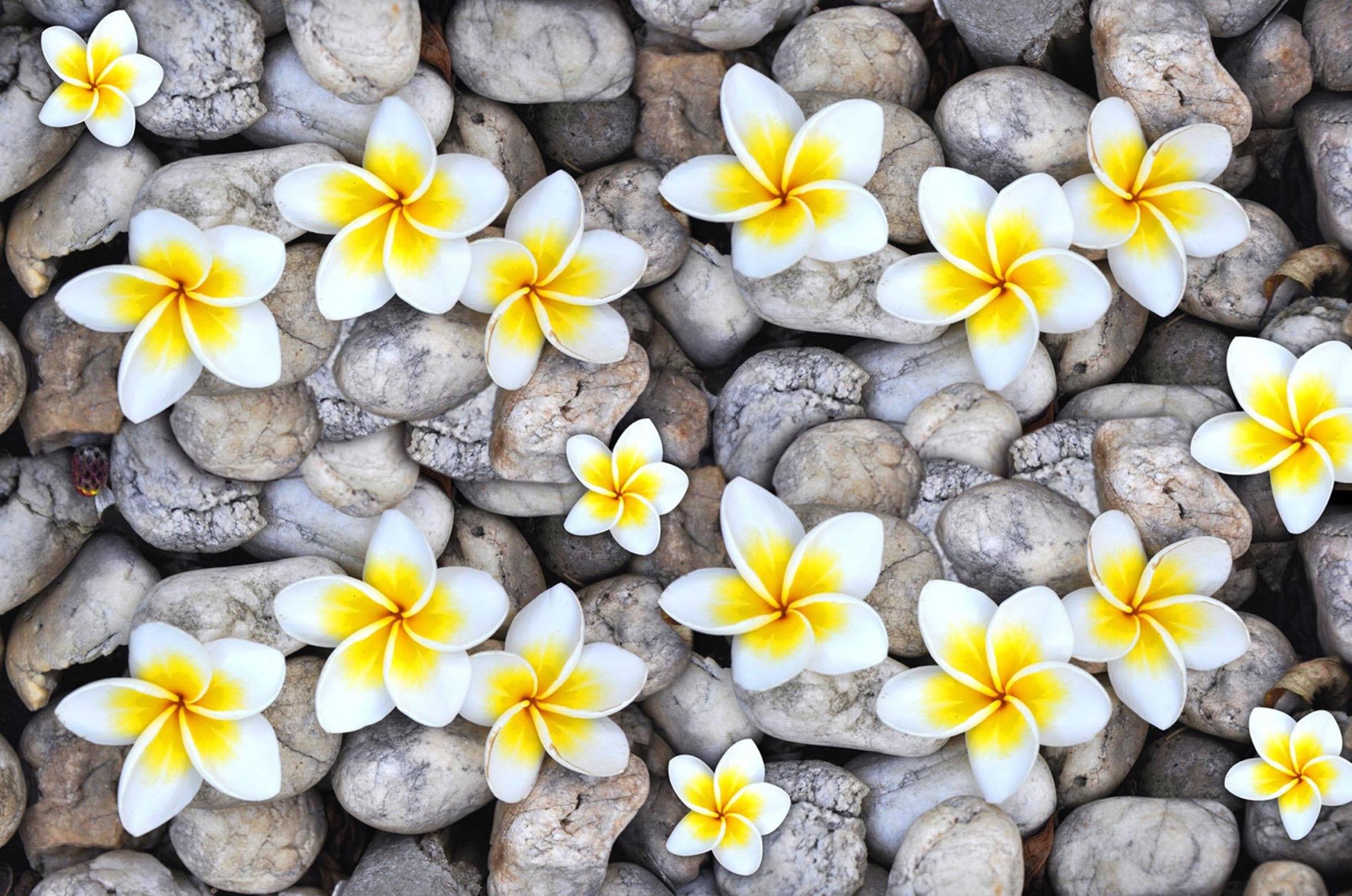 3D Stones Flowers 130 Kitchen Mat Floor Mural Wallpaper AJ Wallpaper 