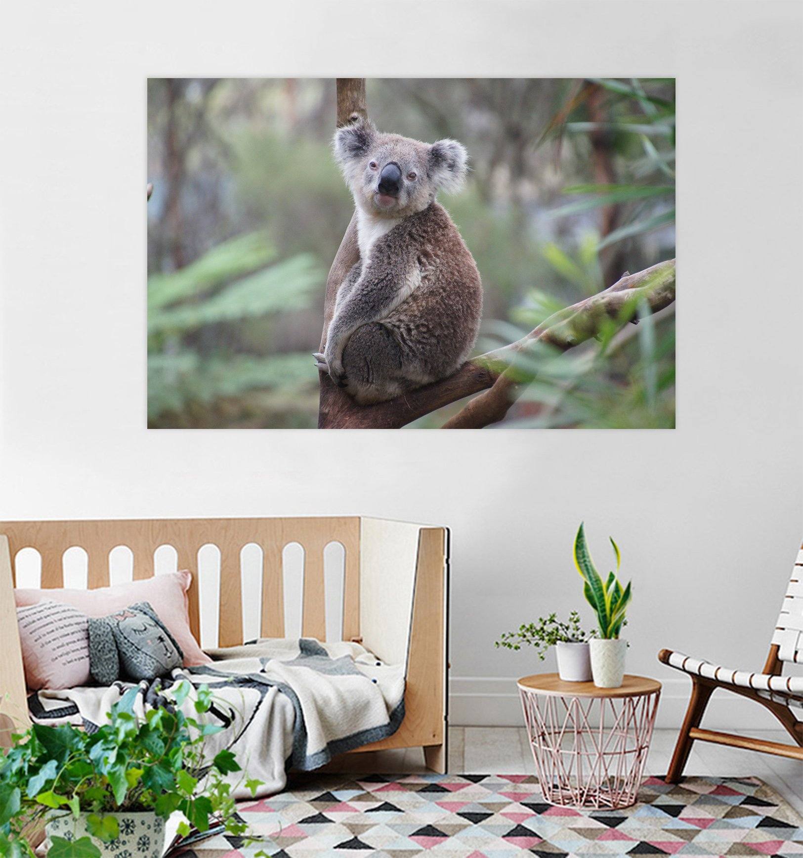 D Koala 88 Animal Wall Stickers Wallpaper AJ Wallpaper 2 