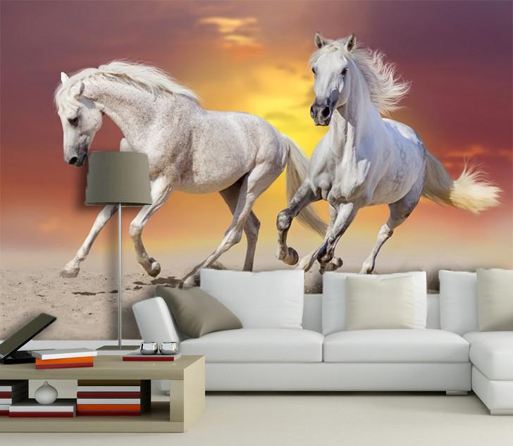 3D Sunset Glow Galloping Horses 77 Wallpaper AJ Wallpaper 